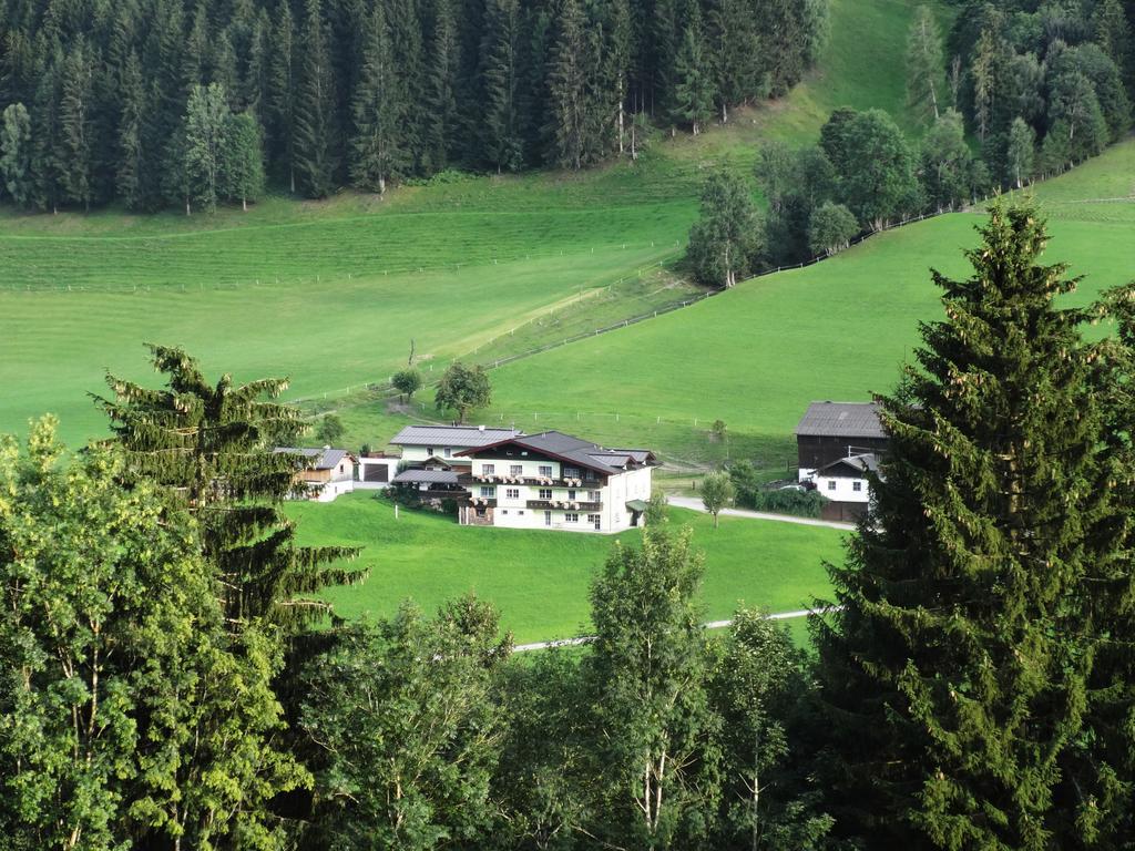 Appartement Greti Schladming Cameră foto